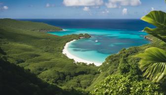 Geschichte und Geheimnisse des Promi-Hotspots Mustique